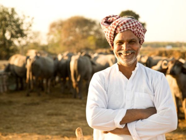 Portrait of happy buffalo shepherd on agricultural field